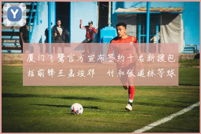 厦门飞鹭官方宣布签约十名新援包括前锋王嘉竣邓棽竹和张道林等球员